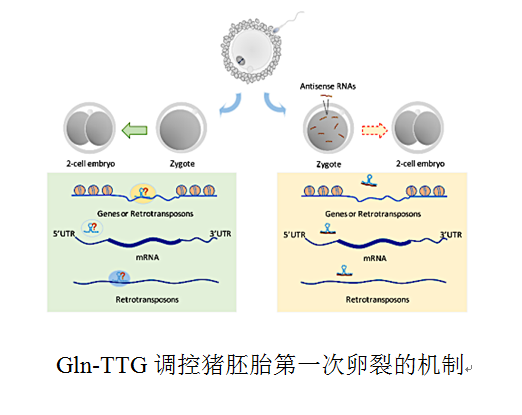 QQ图片20200608165138.png