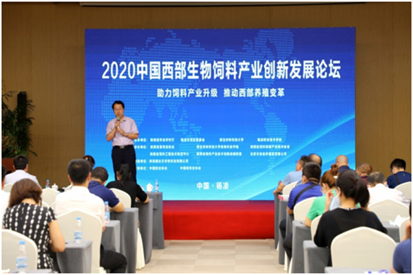 QQ图片20200807161658.png