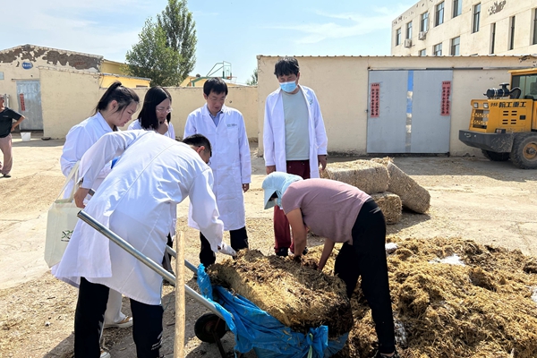 图三 杨雨鑫老师向队员介绍青贮饲料的加工使用方法.jpg